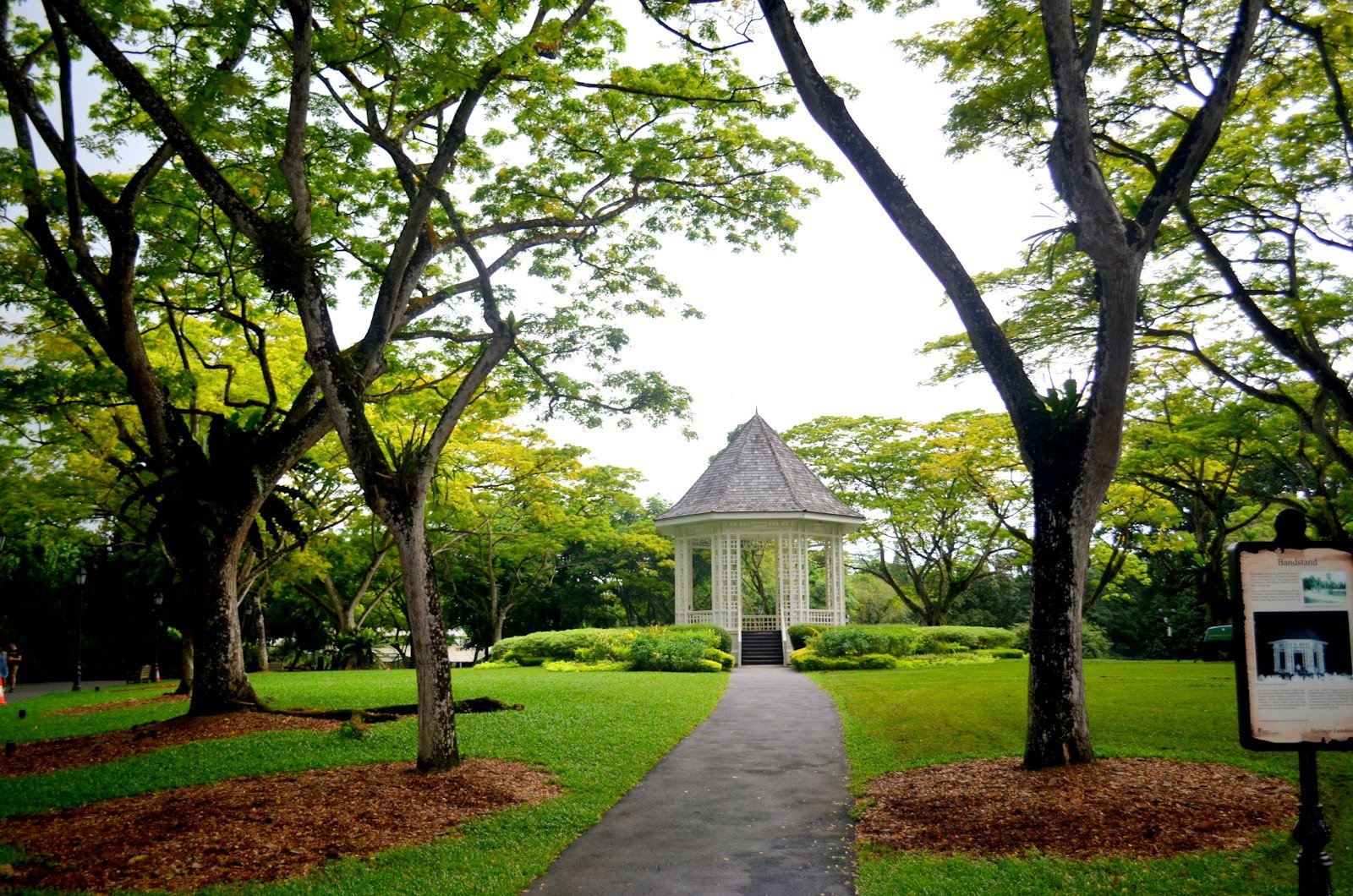 Tree-lined tropical path in Singapore Botanic Gardens