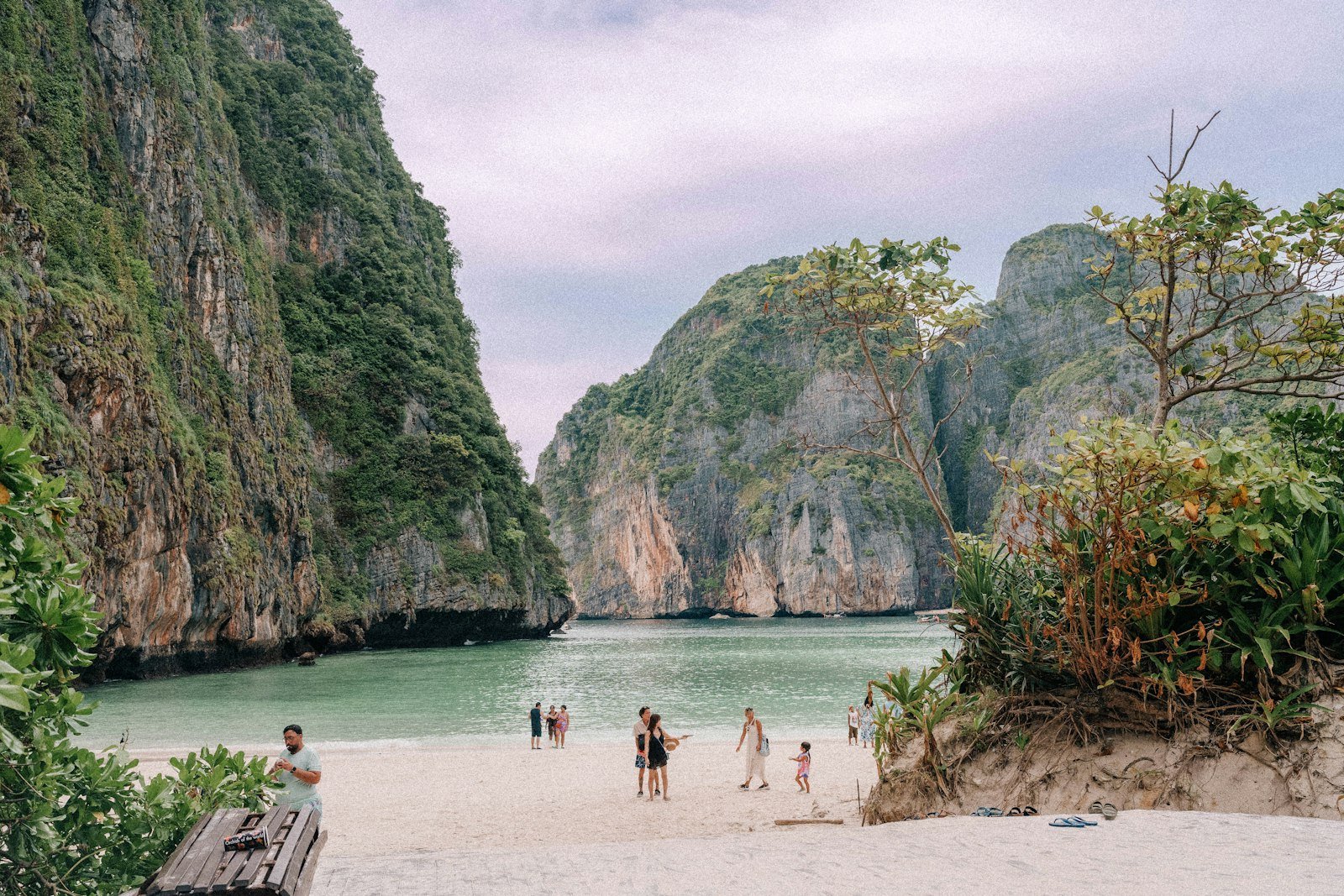 Maya Bay surrounded by limestone cliffs in the Phi Phi Islands, Thailand