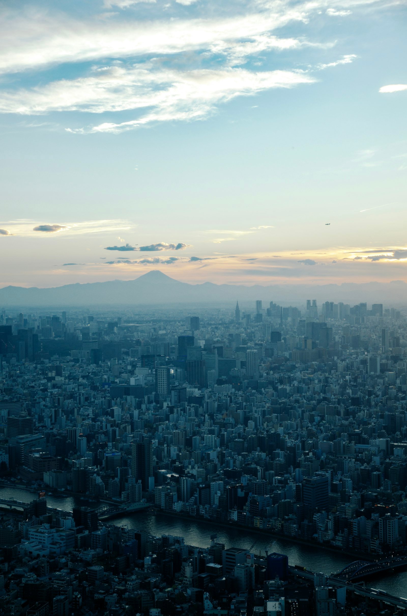 Aerial panorama of Tokyo with Mount Fuji in the distance, Japan